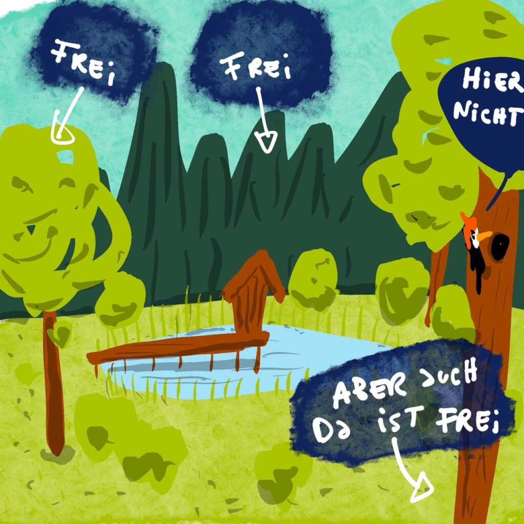 Landschaftszeichnung mit Teich, Häuschen auf dem Teich. Schrift darauf mit Pfeil auf Bämen und das Gras: "Frei, frei, frei." Ein Specht sagt: "Hier nicht" Darunter steht geschrieben mit Pfeil neben den Baum: "Aber da ist frei."