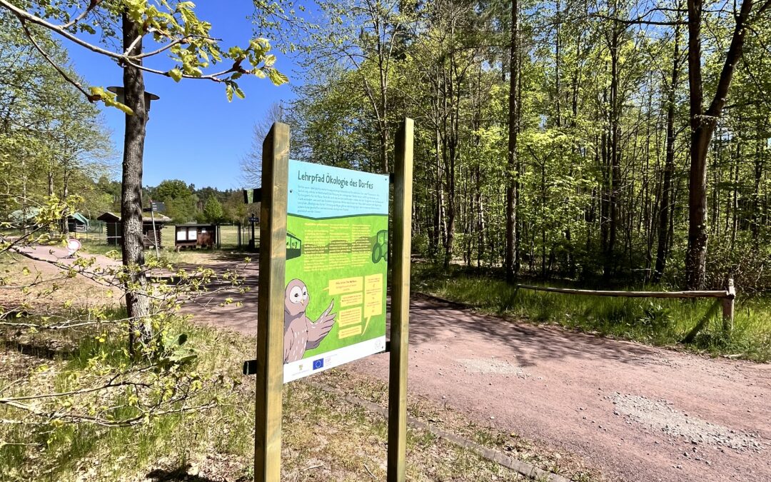 Jetzt Laufzettel für Lehrpfade & Lagerfeuer verfügbar