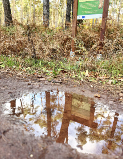 Die allermeisten Tafeln unserer Lehrpfade sind fest installiert und das gesamte Jahr über zu finden. Sie bieten bei jedem Wetter spannende Ein- und Ausblicke.