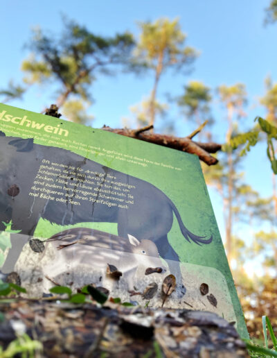 Da versteckte sich Schwarzwild mit Nachwuchs. Aufspürbar in verschiedenen Varianten. Mit App und iPad oder offline mit Karte und Schnitzeljagd.