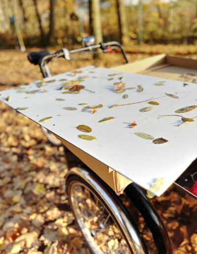 Unser mobiler Lehrpfad "Tiere des Waldes" wird im Frühjahr aufgebaut und im Herbst in den Winterschlaf verfrachtet. Die Rückseite einer mobilen Lehrtafel sieht dann manchmal wie eine kunstvolle Laubsammlung aus.