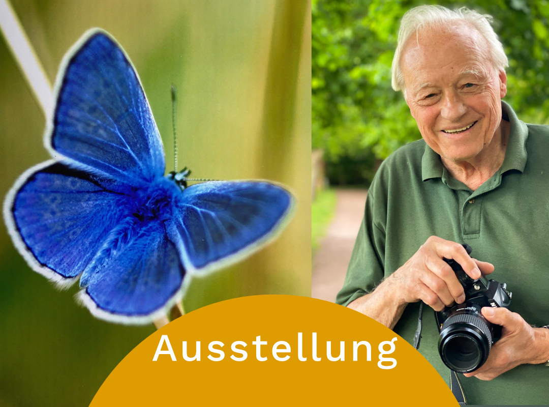 Ein Schmetterling in Friedensau und Aribald Wesselow in Friedensau