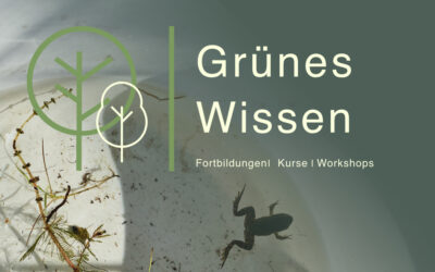 19.08.2026  I  WORKSHOP Wasser erforschen mit allen Sinnen