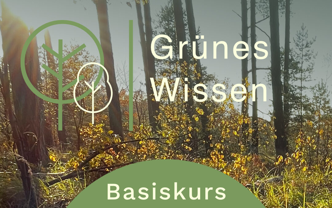 10. Mai 2026 I BASISKURS Natur- und Waldpädagogik