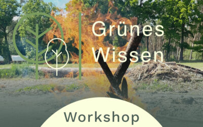 18.11.2026  I  WORKSHOP Funken und Flammen – Lagerfeuer mit Kindern