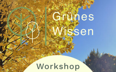 29.10.2026  I  WORKSHOP Lichtfänger & Laubgeflüster – Natur im Herbst erleben