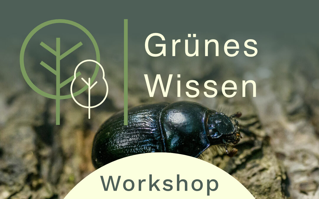 18.03.2026 I WORKSHOP Klein, wild, stark – Superhelden im Wald