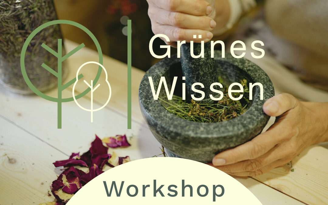 24.06.2026 I WORKSHOP Wilde Küche