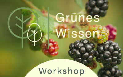 22.07.2026  I  WORKSHOP Farbenwerkstatt