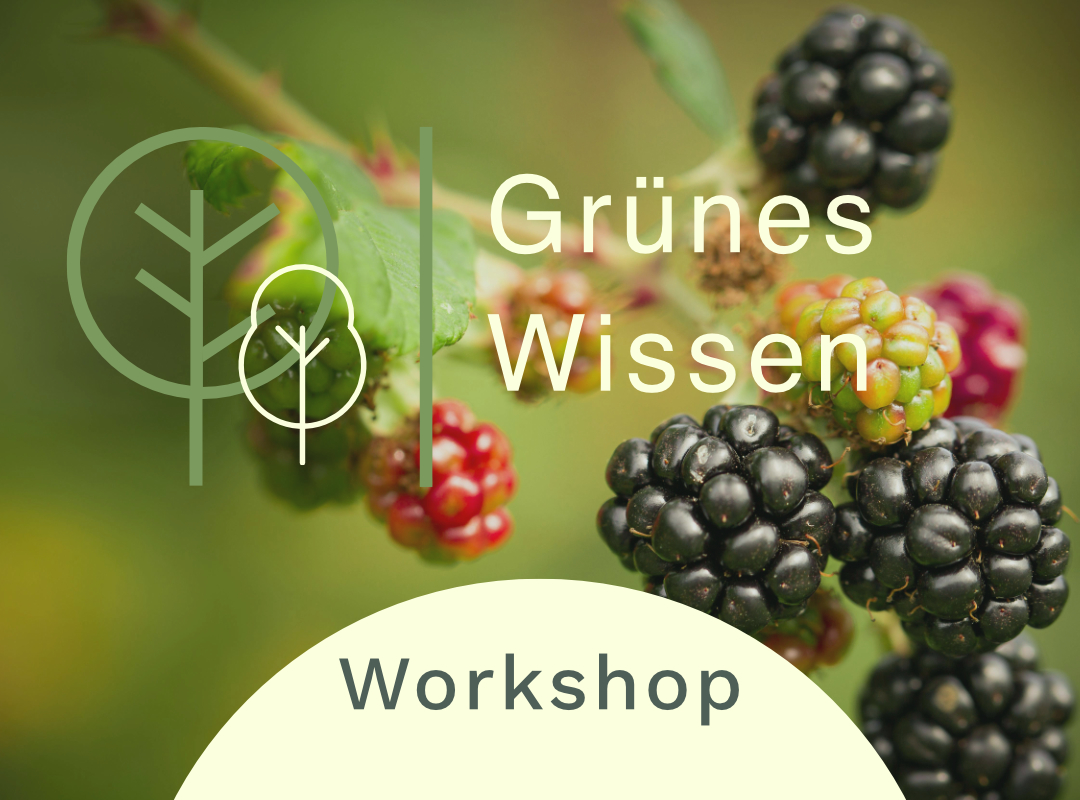 Grünes Wissen Workshop