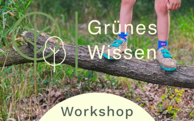 23.09.2026  I  WORKSHOP Kreuz und quer – Bewegt im Wald