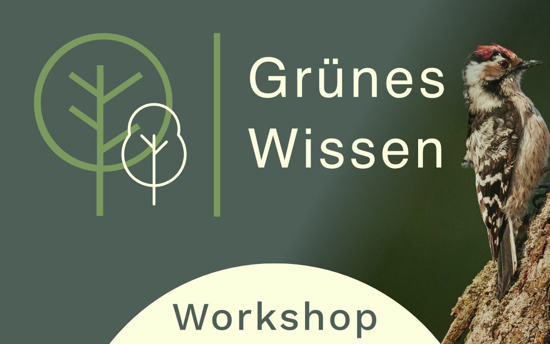 20.05.2026  I  WORKSHOP Zwitschernd durch die Vogelwelt