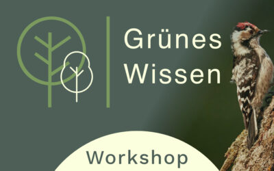 20.05.2026 I WORKSHOP Zwitschernd durch die Vogelwelt