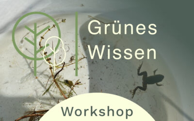 19.08.2026  I  WORKSHOP Wasser erforschen mit allen Sinnen
