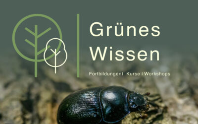 18.03.2026 I WORKSHOP Klein, wild, stark – Superhelden im Wald