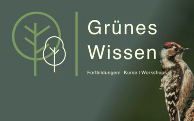 20.05.2026  I  WORKSHOP Zwitschernd durch die Vogelwelt