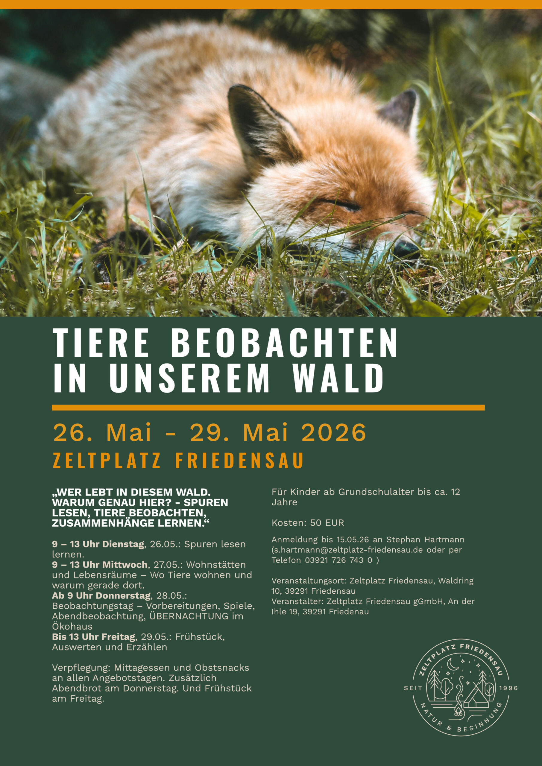 Tiere Beobachten Flyer